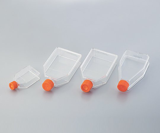 細胞培養用フラスコ（ベントキャップ/カントネック） 70mL 1ケース（20個×10包入）画像