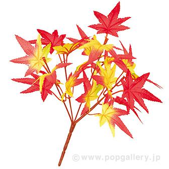 もみじブッシュ画像