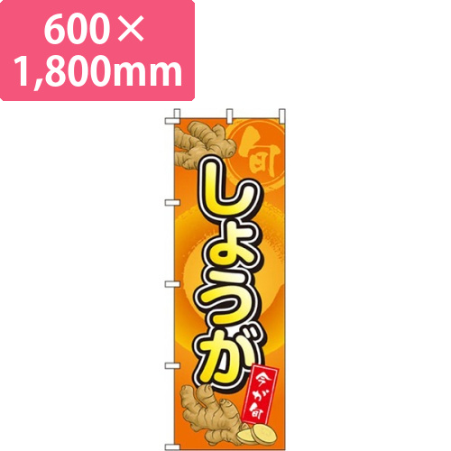 しょうが オレンジ画像