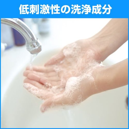 ハンドソープ ソフティ 薬用ハンドウォッシュ10 1L 花王 白いボトルに青いキャップの上部が見える状態