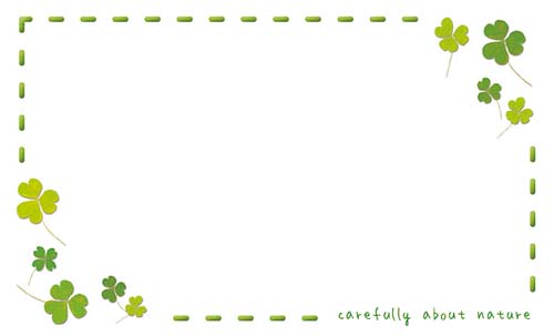 ショーカード　クローバー柄　１５０枚入画像