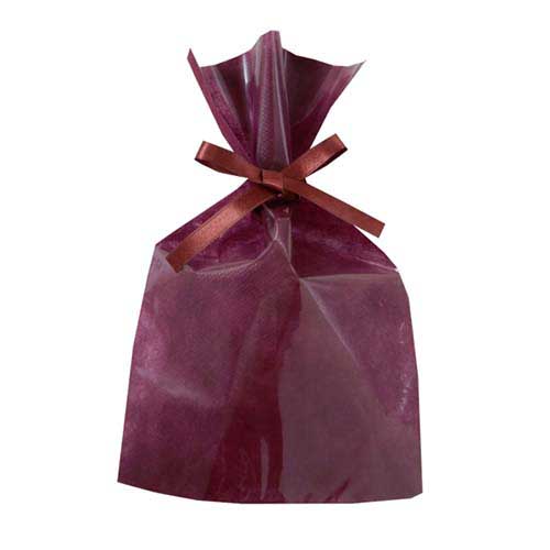 ソフトバッグクリア 2穴リボン巾着 S3 ボルドー画像