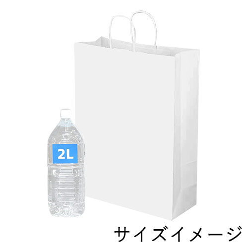 ギフト用や持ち帰りに！同シリーズ最大丈の大型手提げ紙袋