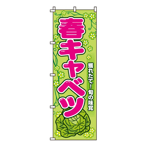 春キャベツ画像