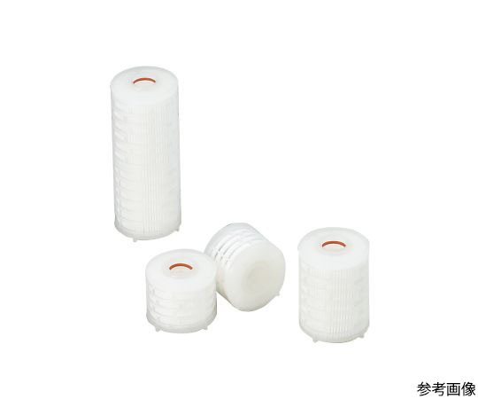 カプセルカートリッジフィルター　CCP-30-C1B画像
