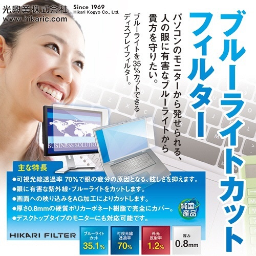ブルーライトカットフィルター　19.5インチ(16:9)用　1枚 透明なフィルターがモニターの液晶画面に取り付けられた様子