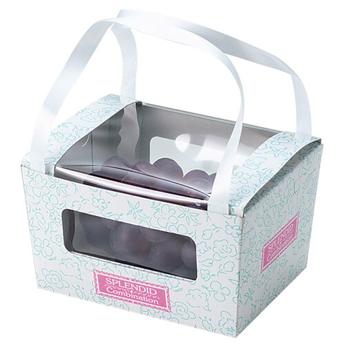 コンビネーション手提（小）画像