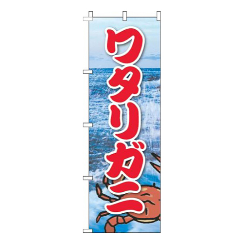 ワタリガニ写真海画像