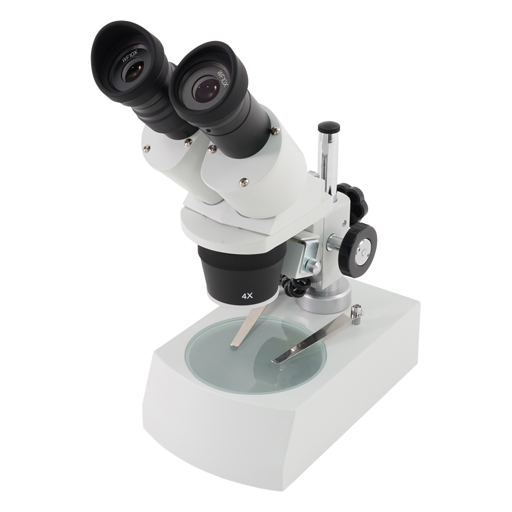 双眼実体顕微鏡画像