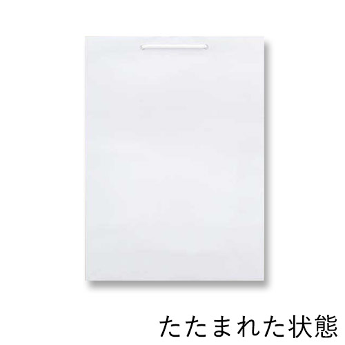 ツヤありPP加工！白色で持ち手紐付きの高級ギフトバッグ