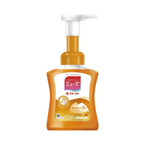 ミューズ泡ハンドフルーティフレッシュ本体２５０ｍｌ画像