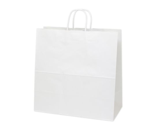 HEIKO 紙袋 25チャームバッグ 25CB 45-1 白無地 50枚画像