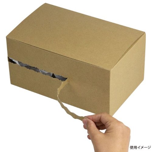 デリボックス ジッパーBOX FSR L【weeco】 ヤマニパッケージ クリアなパッケージに収められた製品の側面が見える状態