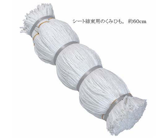 シート紐 白 60センチ 1000本入画像