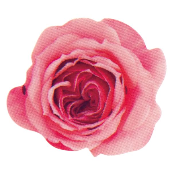 スウィーツ用品 エディブルフラワーケーキピック バラ-1(100枚) ヘッズ画像