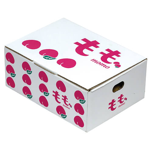 イラスト　もも画像