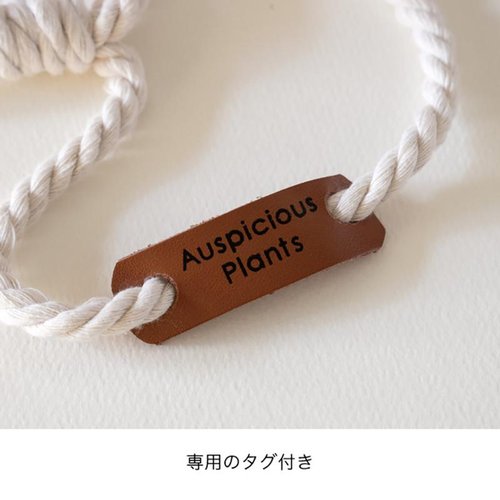 HNG-POM3 ハンギングポットカバーM-3/ペンシルストライプ(4個) ヘッズ 明るい色合いのストライプ模様のポットカバーが4つ並んでいる様子