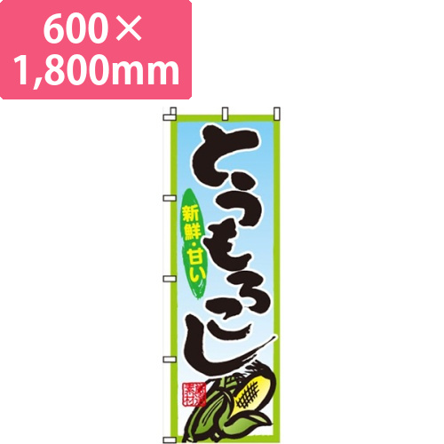 とうもろこし水色・新鮮・甘い画像