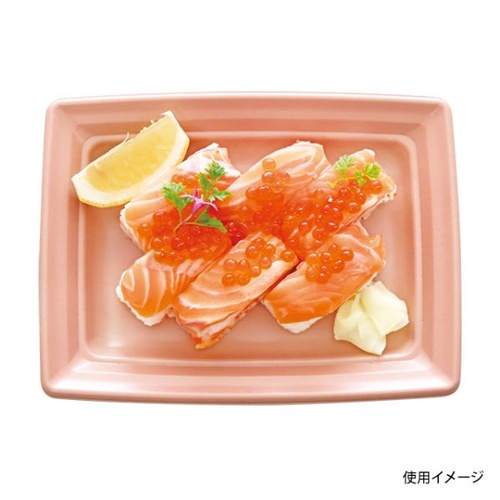 中央化学 軽食容器 CT 沙楽 K24-18 NP-BK 本体画像