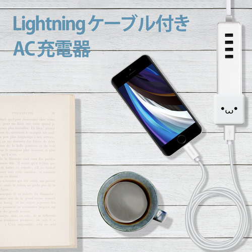 AC充電器 ライトニングケーブル2.5m 白顔 充電ポートとコネクタが鮮明に見える状態