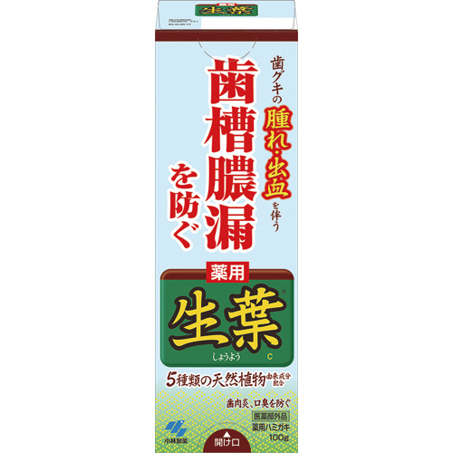 生葉 100g 1個画像