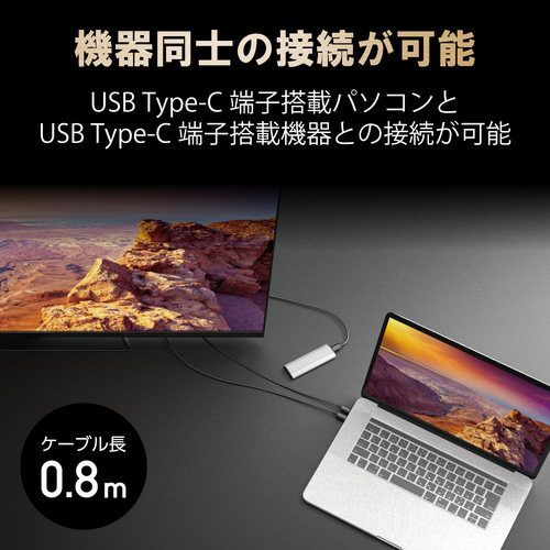 USB4ケーブル/C-C/PD/0.8m/ブラック ケーブルの先端が二つ並ぶ、上からの俯瞰で捉えたシンプルな接続部分
