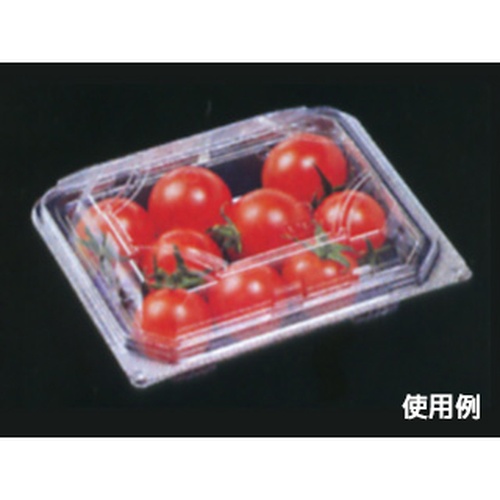 エフピコ フードパック APSA-402-38 エコ画像