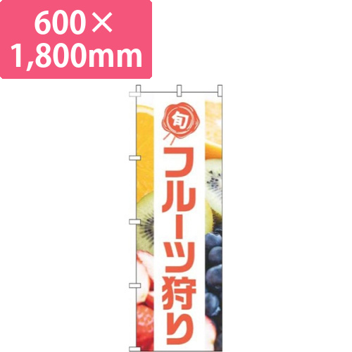 フルーツ狩り写真白帯画像