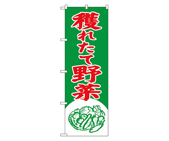 獲れたて野菜 のぼり画像