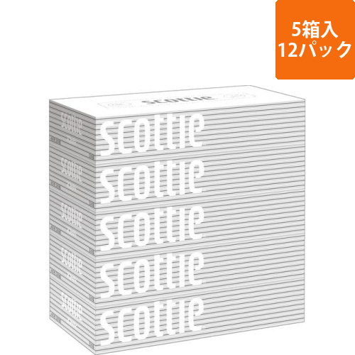 スコッティ　ティシュー　200組　5箱×12