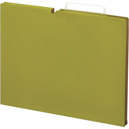 個別ﾌｫﾙﾀﾞｰ(NEOS) PP製 A4 ﾏﾁ幅15mm ﾗｲﾄｵﾘｰﾌﾞ 1ﾊﾟｯｸ(10冊)画像