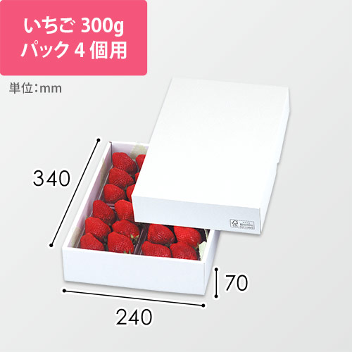 パール２７　ＦＳ画像