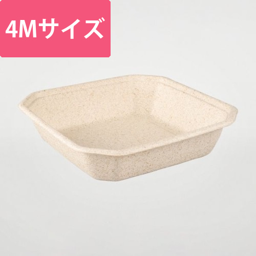 パックスタイル バガス容器 WBフルーツ 4M画像