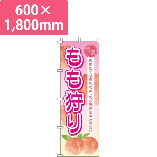 もも狩り画像