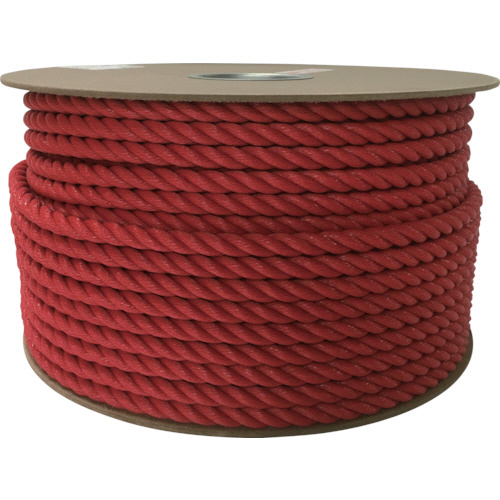 ﾎﾟﾘｴﾁﾚﾝﾛｰﾌﾟﾄﾞﾗﾑ巻 12mm×100m ﾚｯﾄﾞ 1巻画像