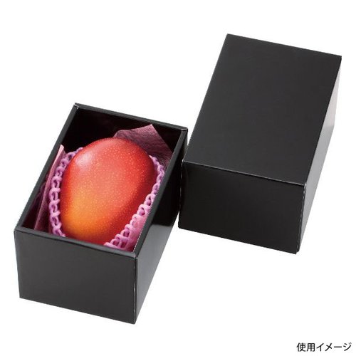 ギフト箱 L-2278 マンゴー金柑 BOX ヤマニパッケージ [ケース販売]