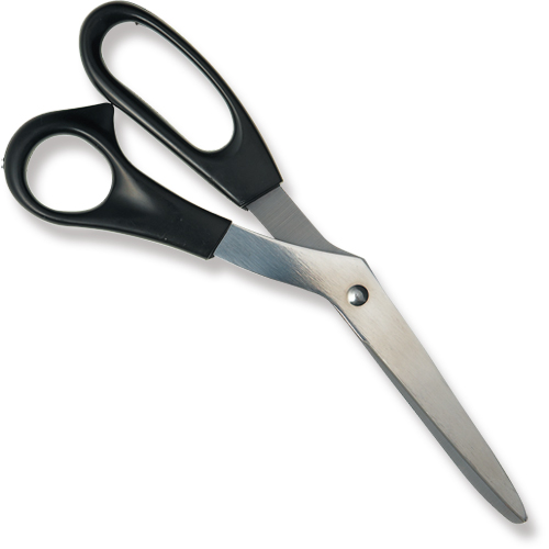 ﾃｰﾗｰﾊﾞｻﾐ(ｽﾃﾝﾗｼｬ切ﾊﾞｻﾐ) 1本画像