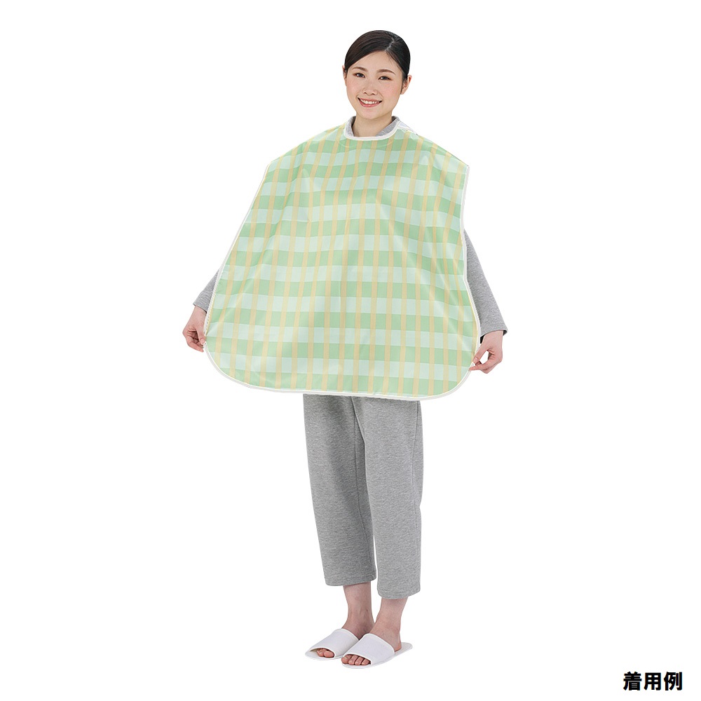 ソフラピレンエプロン ボーダーチェック グリーン画像