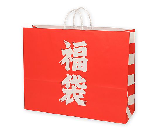 手提げ紙袋　25チャームバッグ　60-2　福袋　50枚画像