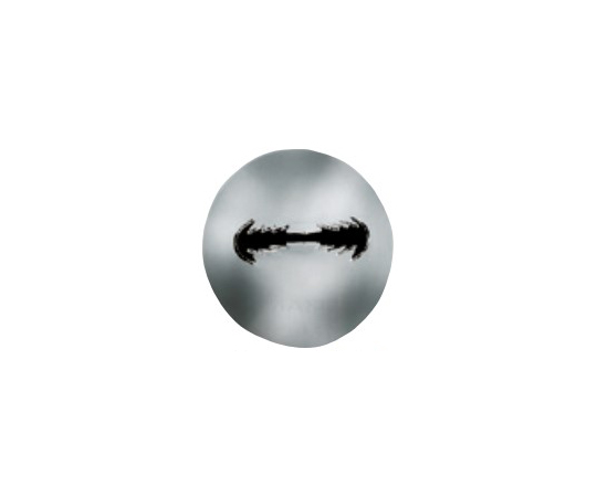 口金 タンポポ φ11×28mm画像