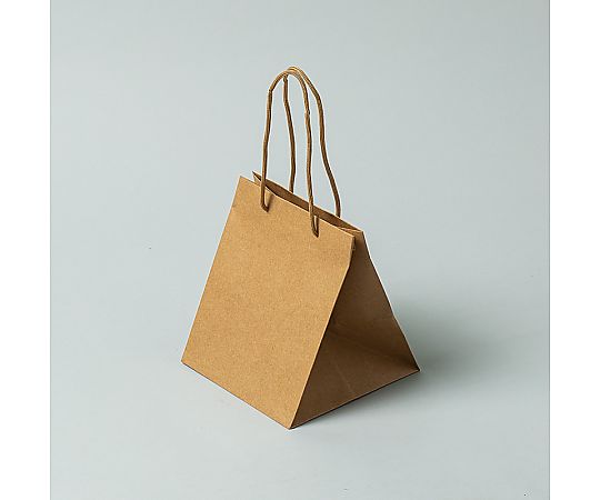 手提げ紙袋　アレンジバッグ　SS　未晒無地　NEW　10枚画像