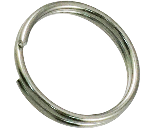 ステンレス　二重リング画像