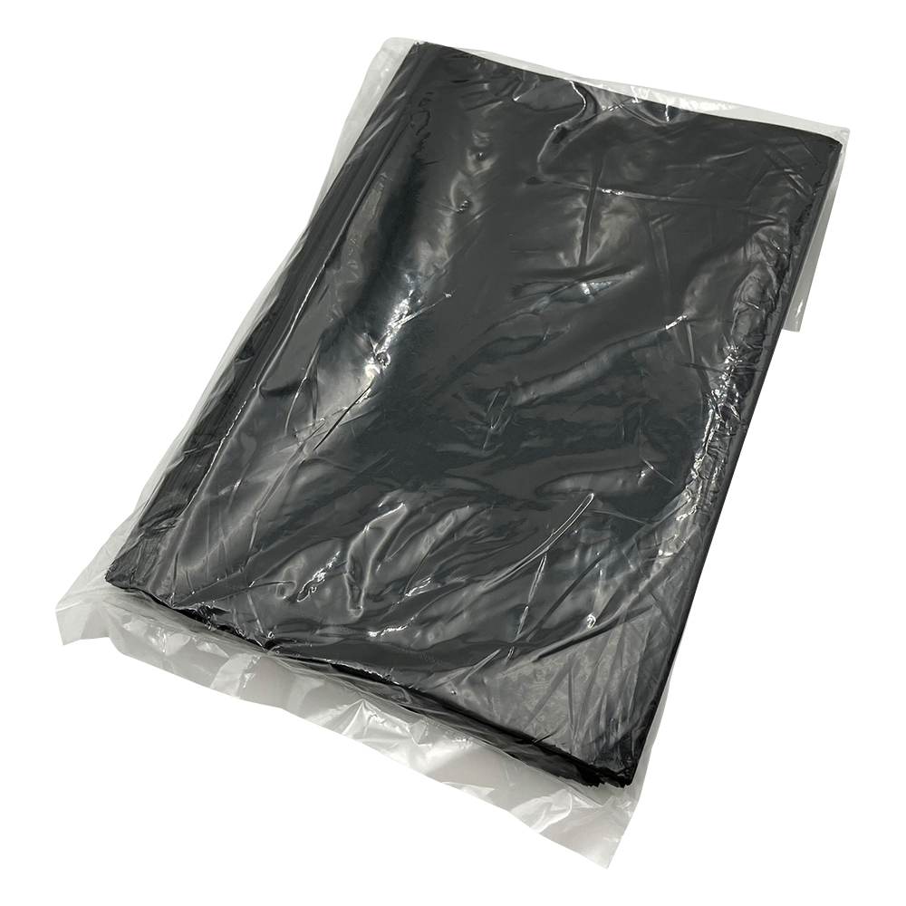 導電袋 100×150mm 0.05mm 1袋（100枚入）画像