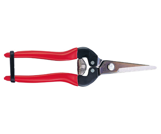 摘果鋏 ロング ステンレスタイプ画像