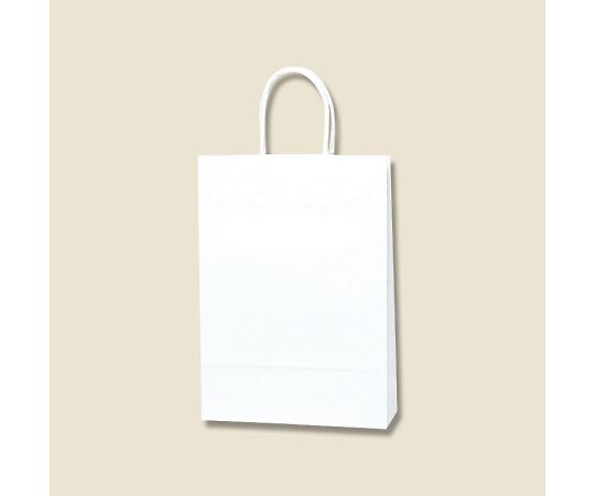 手提げ紙袋　スムースバッグ　S-100　白無地　25枚画像