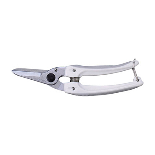 ﾌｧﾐﾘｰﾃﾞﾗｯｸｽﾎﾜｲﾄ 1個画像