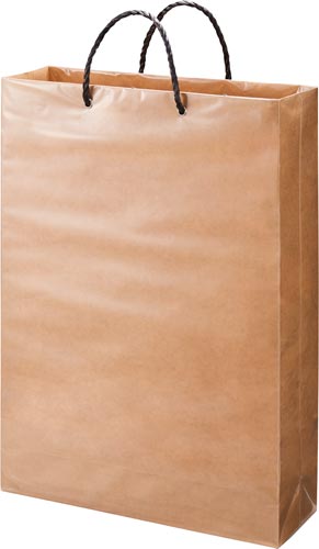 未晒しビニールカバーバッグ　特大　１０枚×５画像