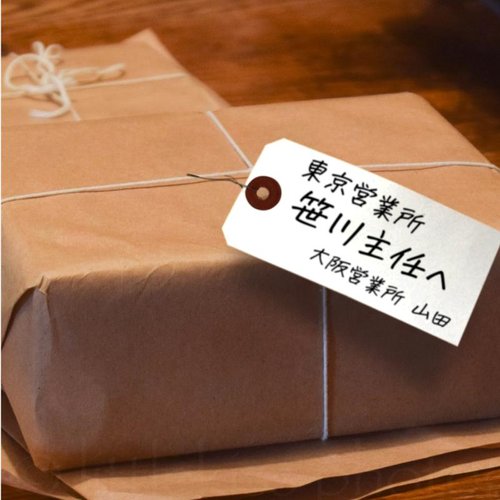 提札 25-140 荷札 大 白(厚口)一穴 1000枚入 ササガワ 白い厚口の提札が一列に整然と並んでいる様子