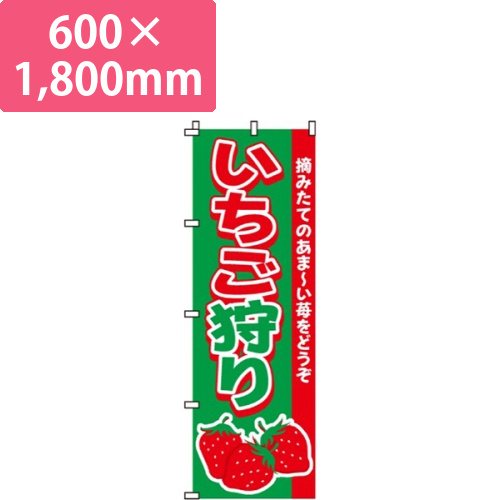 いちご狩り画像