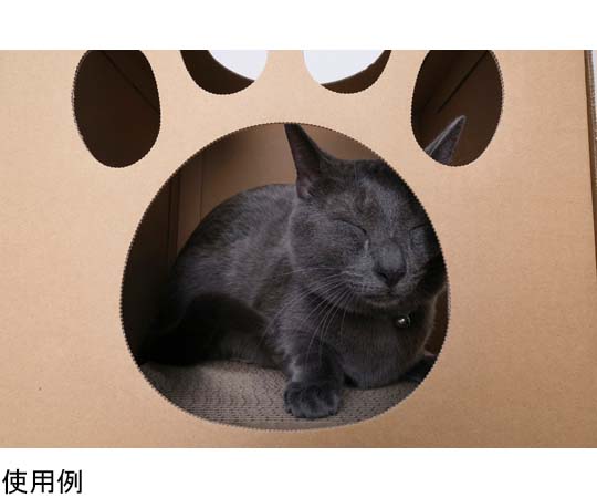 ねこねこトンネル BOX+T字セット トンネルを取り囲むように配置された箱とT字型のパーツが見える状態
